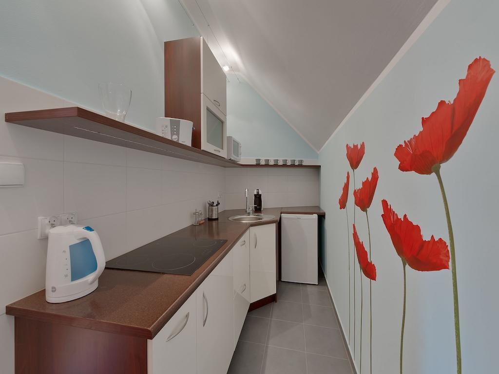 Beauty Of Krakow Apartment 部屋 写真